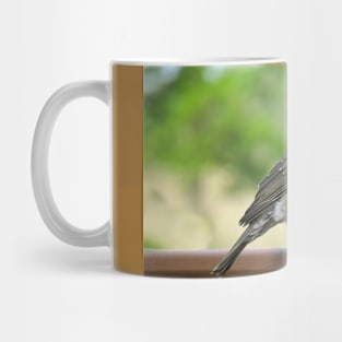 American Robin-4 Mug